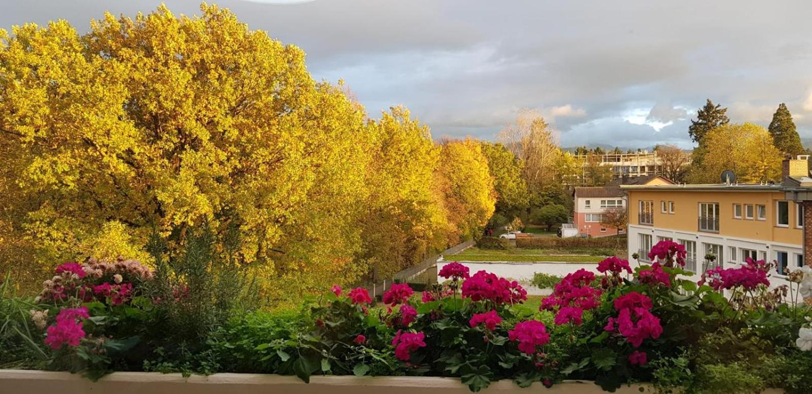 Mariaprimavera Am Kurpark Mit Schwarzwaldblick * * * * Apartment