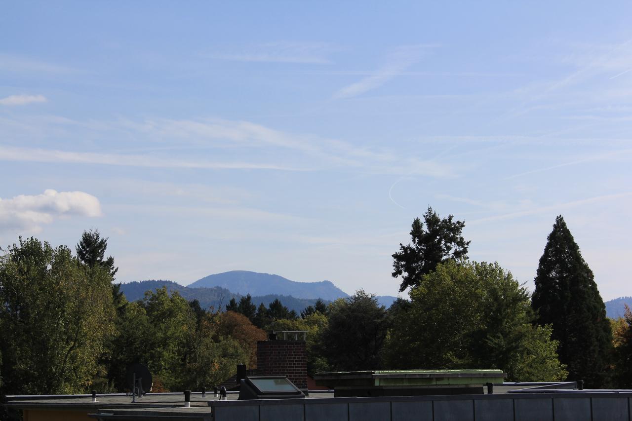 Mariaprimavera Am Kurpark Mit Schwarzwaldblick * * * * * Bad Krozingen