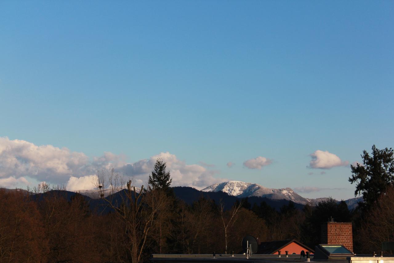 Mariaprimavera Am Kurpark Mit Schwarzwaldblick * * * * Bad Krozingen